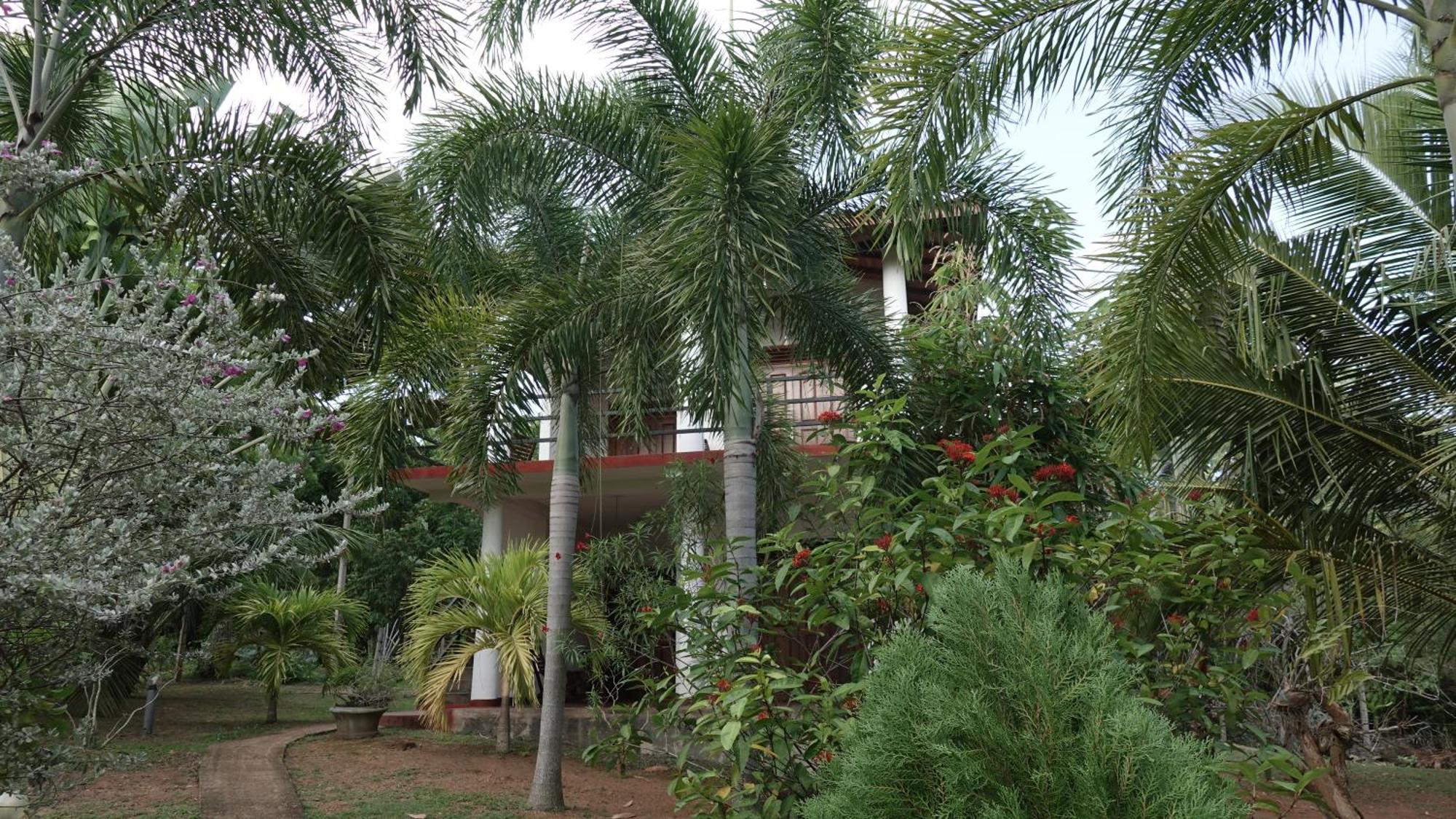 Salt Lake Cabanas & Restaurant Tangalle Exterior photo