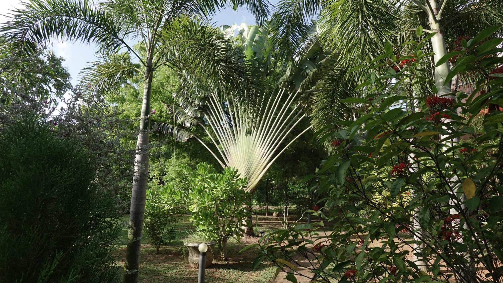 Salt Lake Cabanas & Restaurant Tangalle Exterior photo