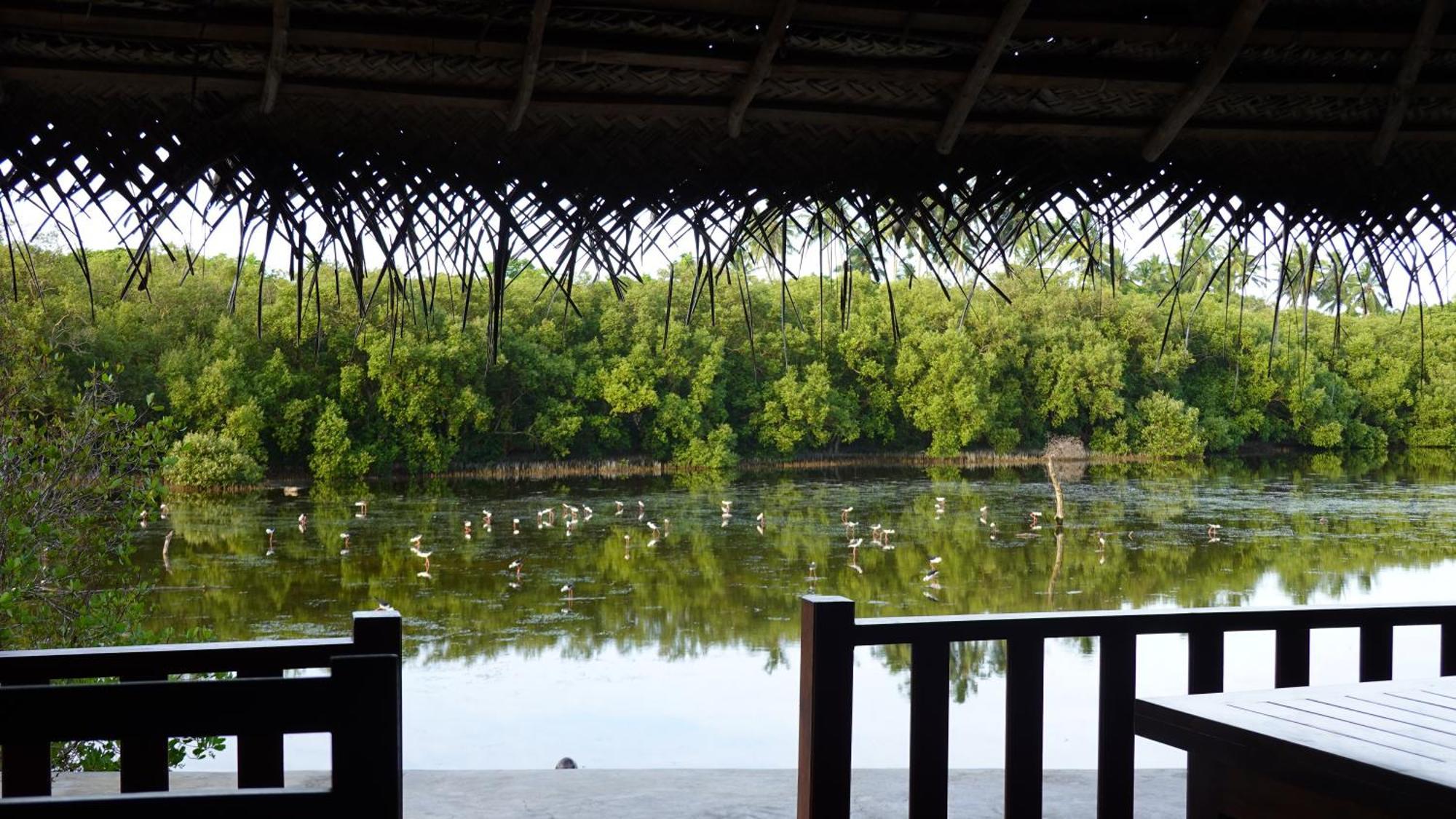 Salt Lake Cabanas & Restaurant Tangalle Exterior photo