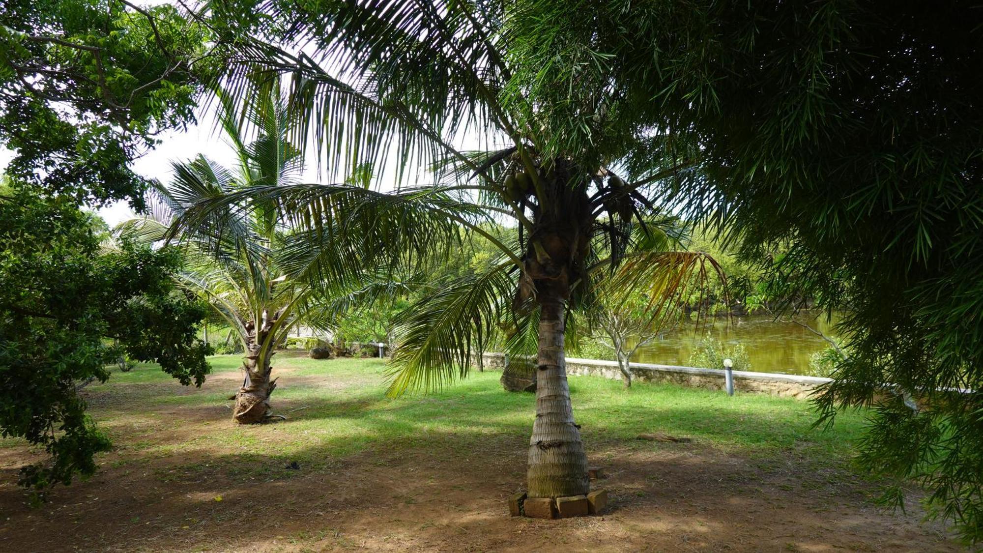 Salt Lake Cabanas & Restaurant Tangalle Exterior photo